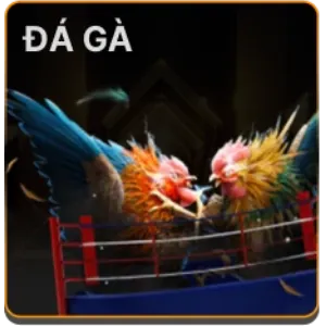 Cá cược thể thao xoxo66